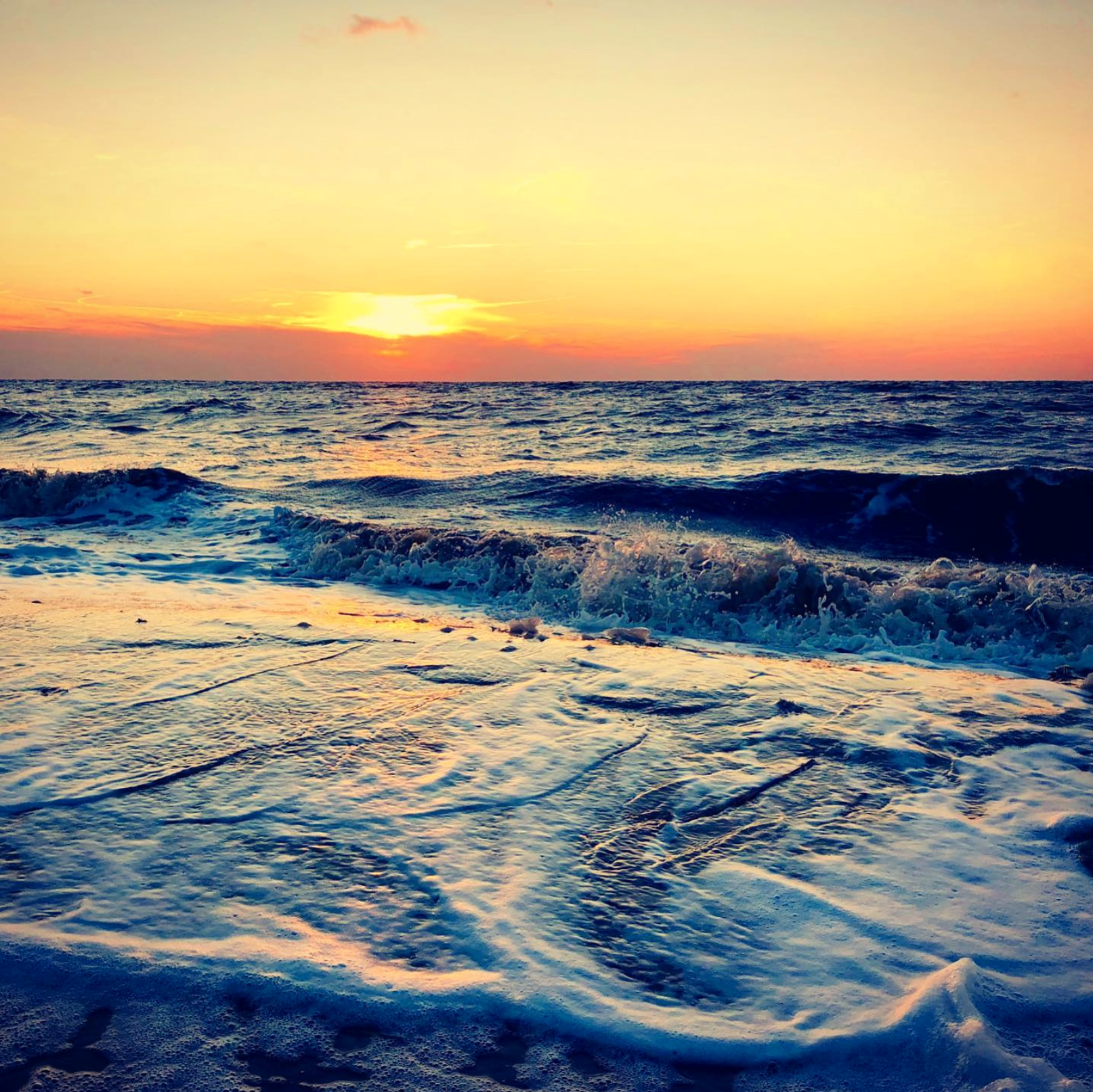 Screen Shot 2022-03-11 at 10