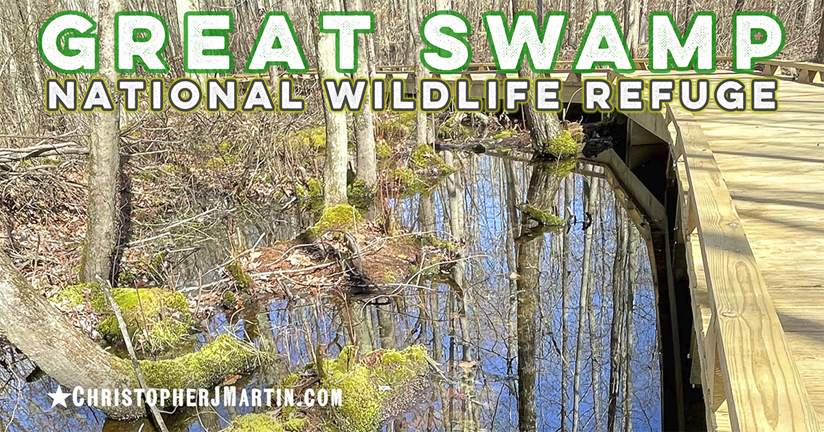 Great Swamp National Wildlife Refuge swamp reflections
